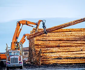 logging and forest control machinery